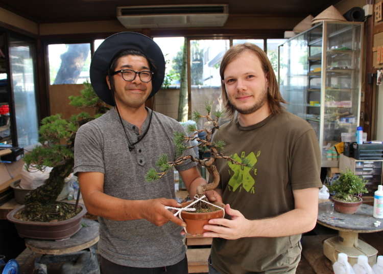 A Collaboration Between Nature and Imagination