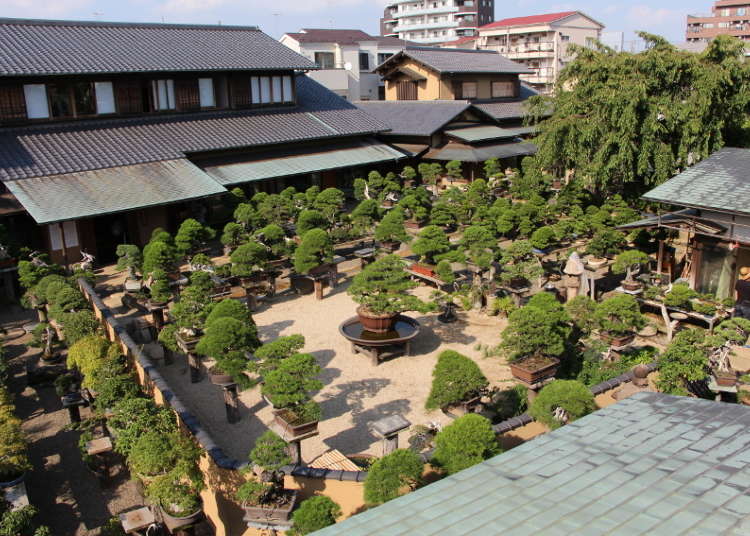 あなたも美術館へ!