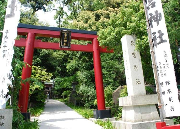 熱海のパワースポット!來宮神社周辺の散策コース