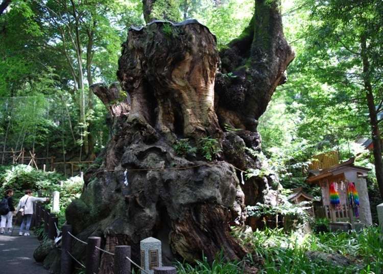 パワースポットで祈りを捧げる