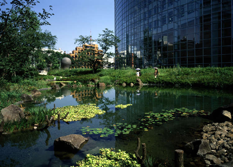 Exploring Traditional Japan in the Feudal Lord's Garden