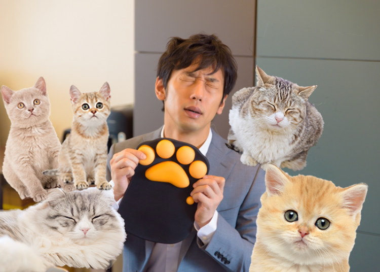 日本の猫好きは凄すぎ!猫のおでこの香りに包まれたりと、猫グッズまみれで1日を過ごすと最高に癒された