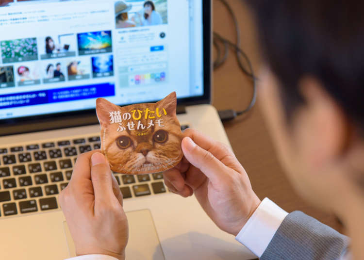 「猫のひたいふせんメモ」で職場全体が癒される