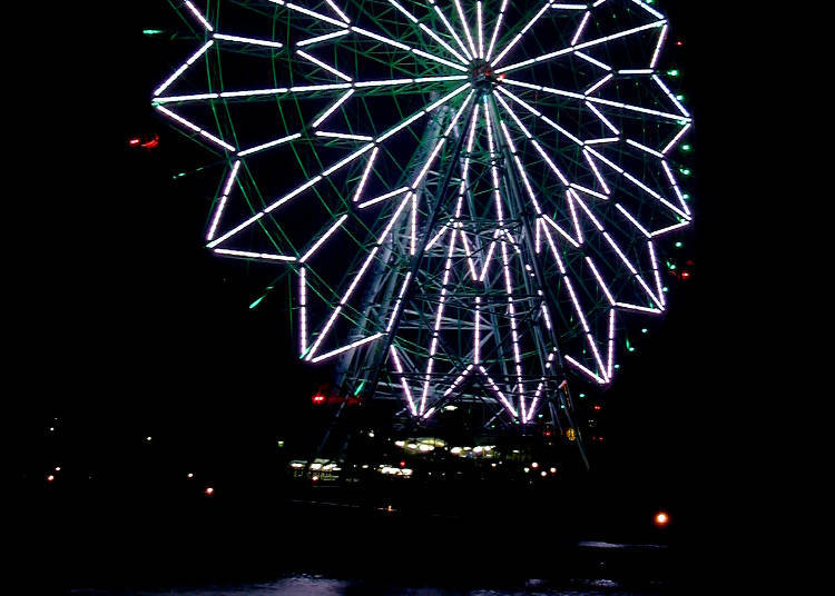 The New Year's Countdown at Kasai Rinkai Park