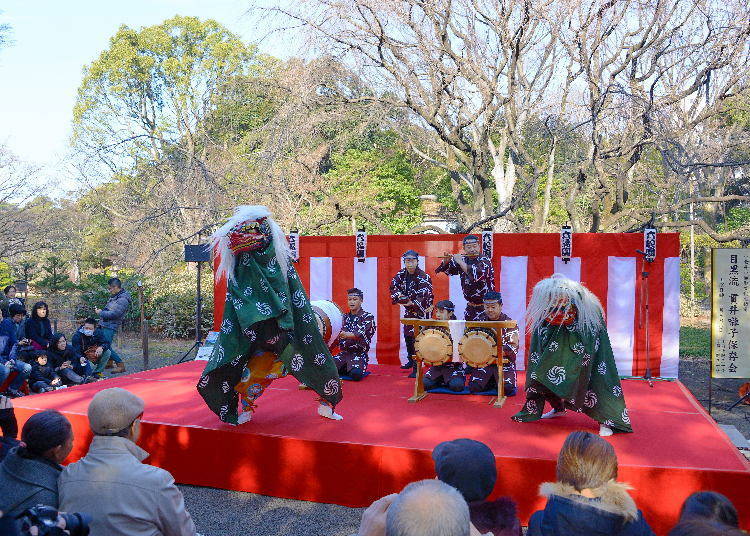 Celebrating the New Year at Rikugien Garden