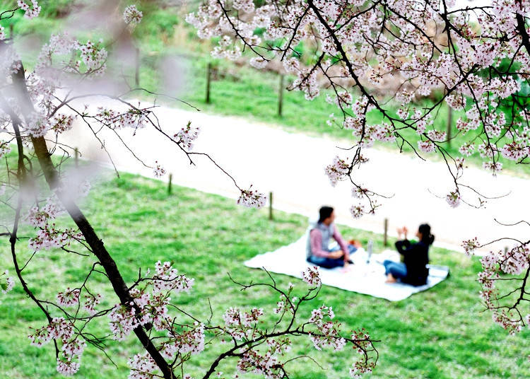 How to Hanami