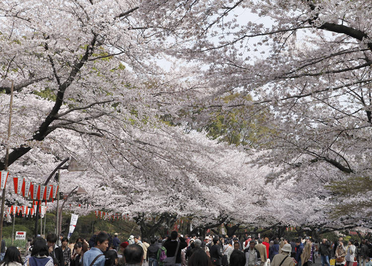 Ueno Onshi Park Area