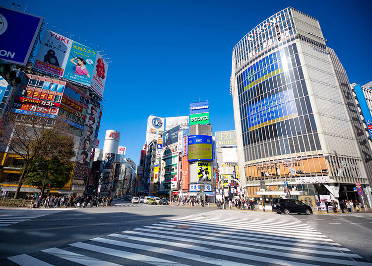 Shibuya Crossing Area