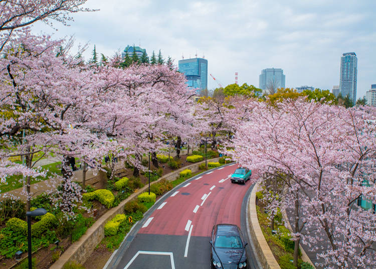 Roppongi Midtown Area
