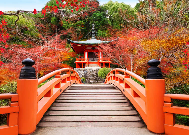 紅葉って?徹底紹介