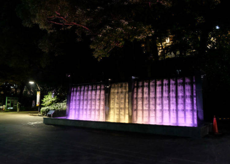 上野公園で冬の「夜桜」を観賞