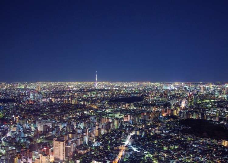 海抜251mのXmas!サンシャインで煌めく夜景を堪能
