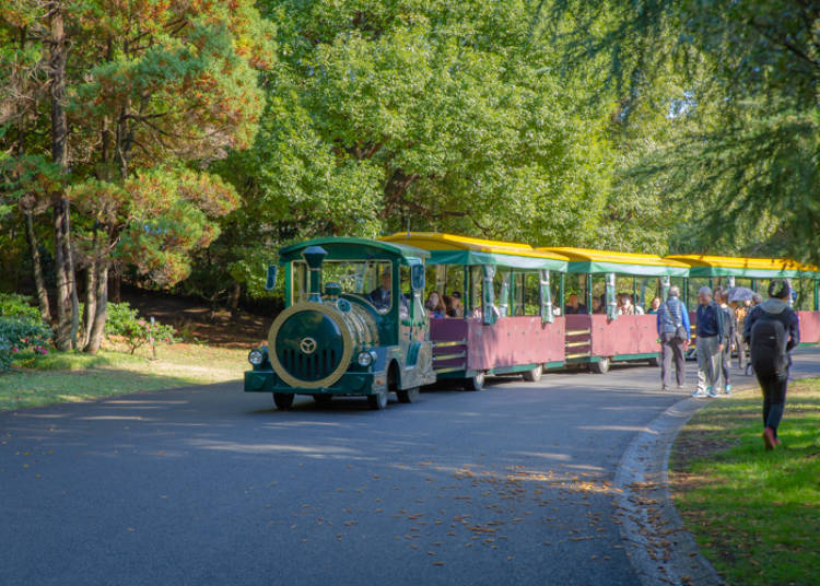 A Variety of Things to See and Do