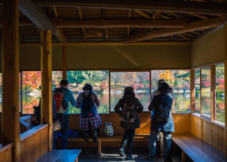 癒しの日本庭園