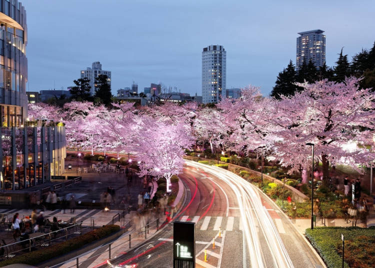① Sightseeing Taxis as Part of Your Trip