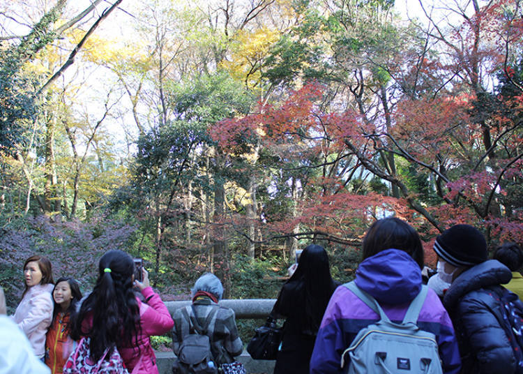 Preparation No. 3: Come December, the Shrine Grounds need to be Made Safe to Tread
