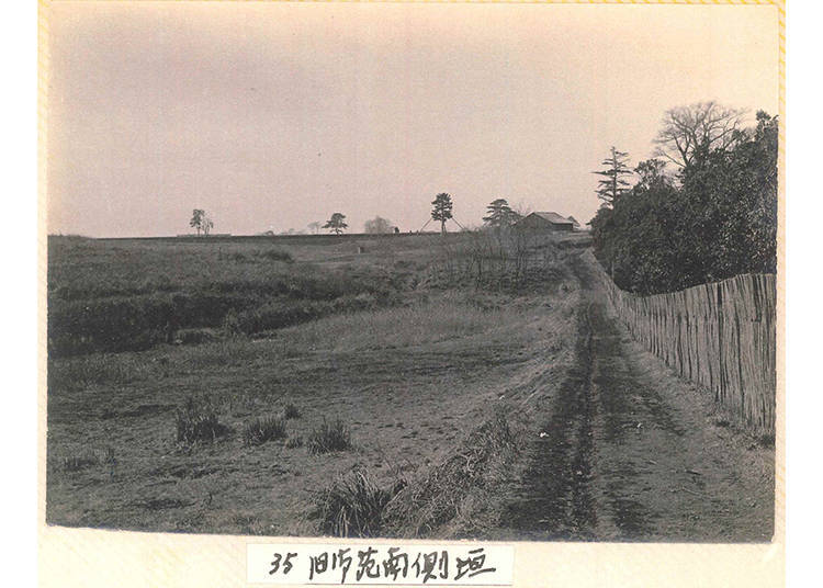 Preparation No. 1: The Wide Approach to Meiji Shrine, Planned a Hundred Years Ago!