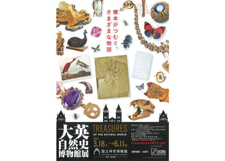 Treasures of the Natural World