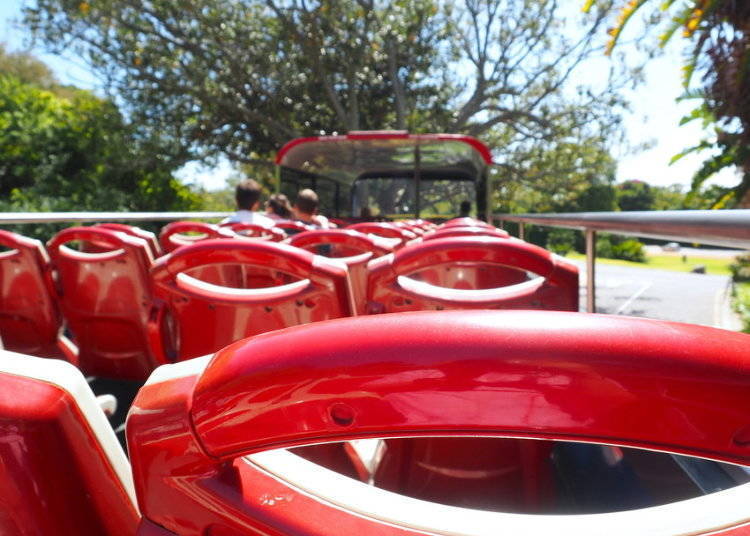 Sightseeing Bus
