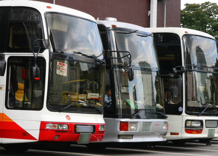Taxis and Buses