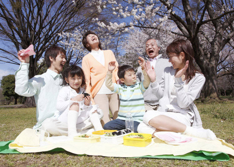 Enjoying Japanese cherry blossoms: Hanami Parties!