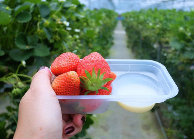 イチゴの食べ方