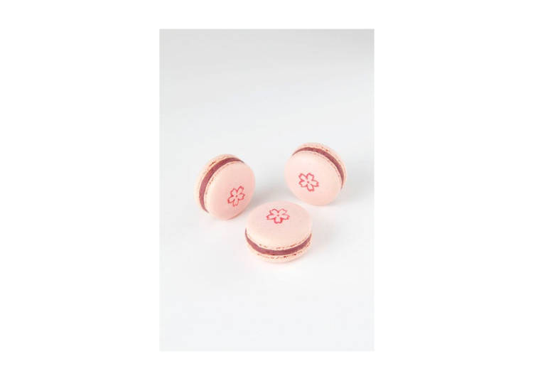 Sakura Delice – a Dessert as Beautiful as it is Delicious