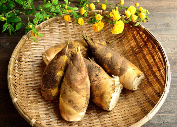 春の野菜といえば?ずばり、たけのこ!