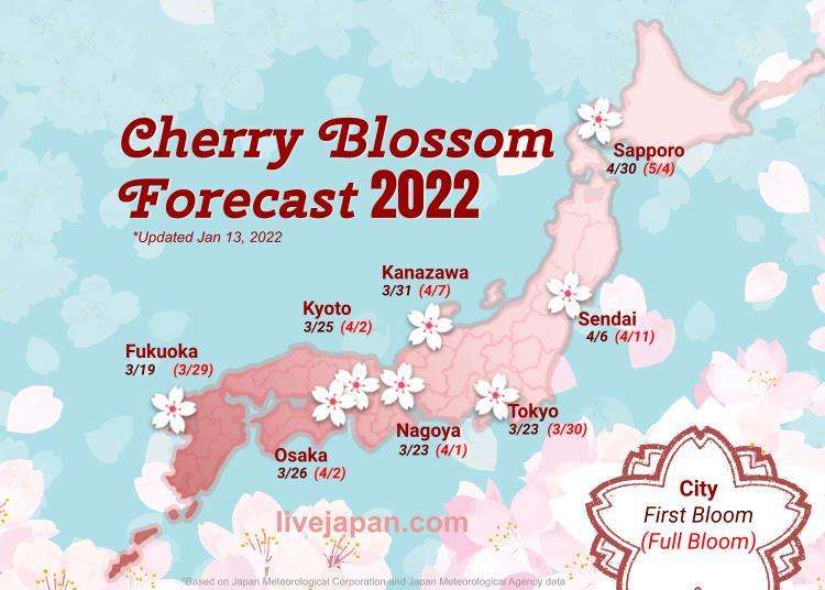 Japan 2019 Cherry Blossom Forecast: When and Where to See Sakura in ...