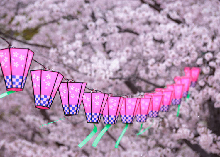 花見