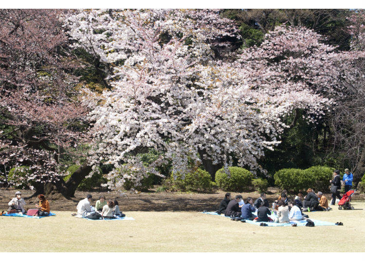 春の過ごし方は、やっぱり花見!