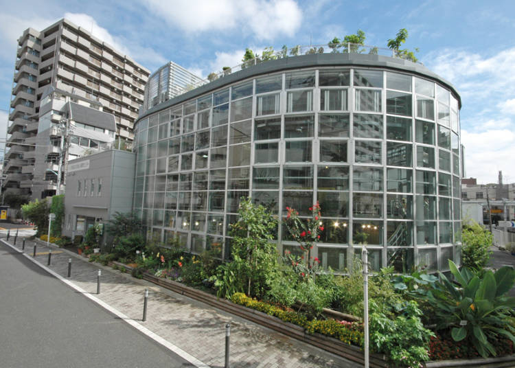 Shibuya Fureai Botanical Garden Center: Lush, Exotic Nature for a mere 100 Yen!