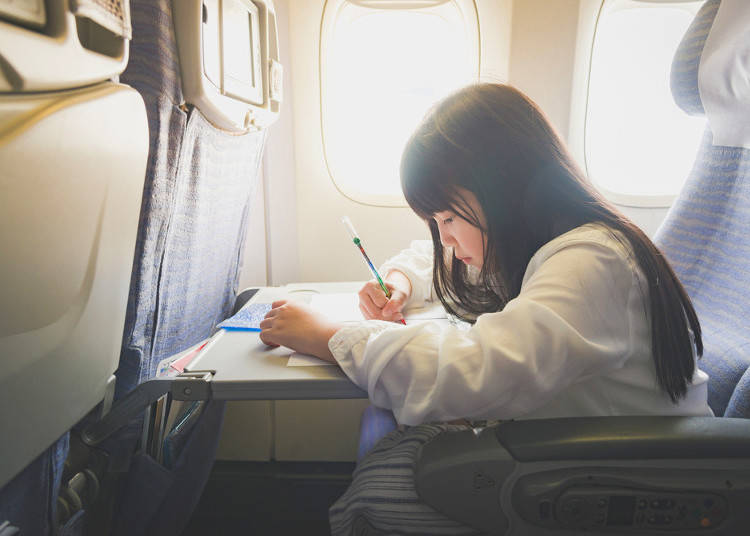 Domestic Travel