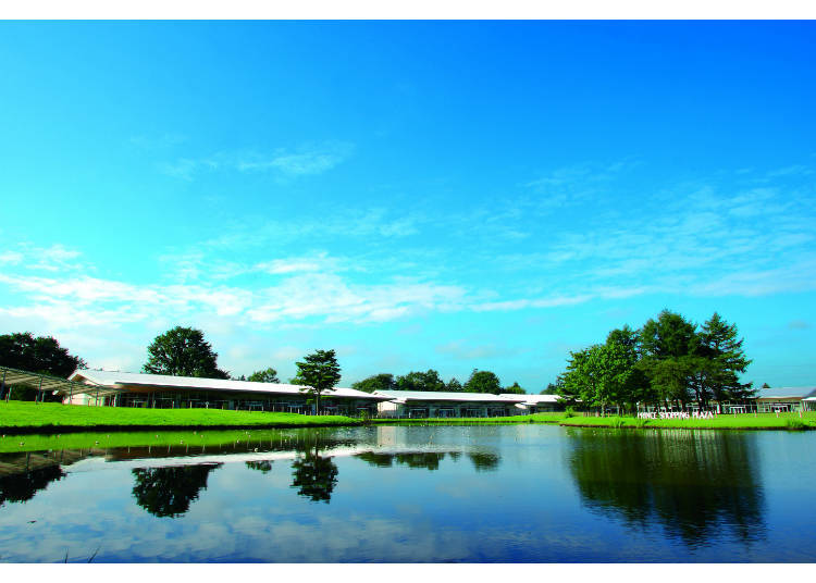 5. Karuizawa Prince Shopping Plaza: Lush Nature Meets Outlet Mall
