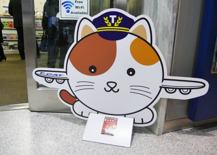 Multi-language Sightseeing Information, Casual Shopping, and More!