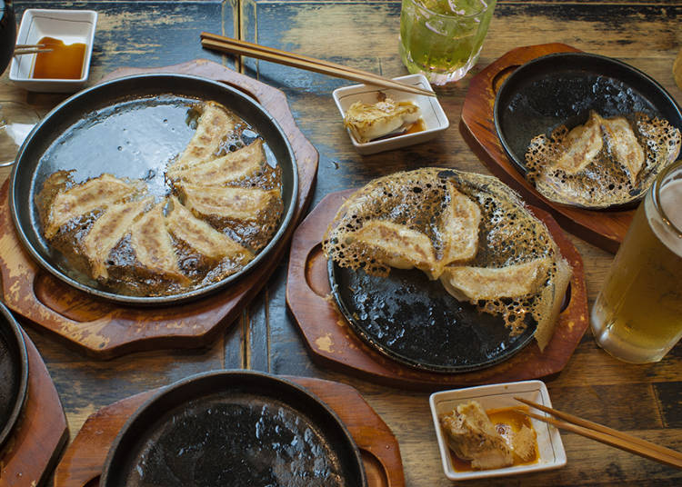 Tachibana is More Than Just Free Gyoza!