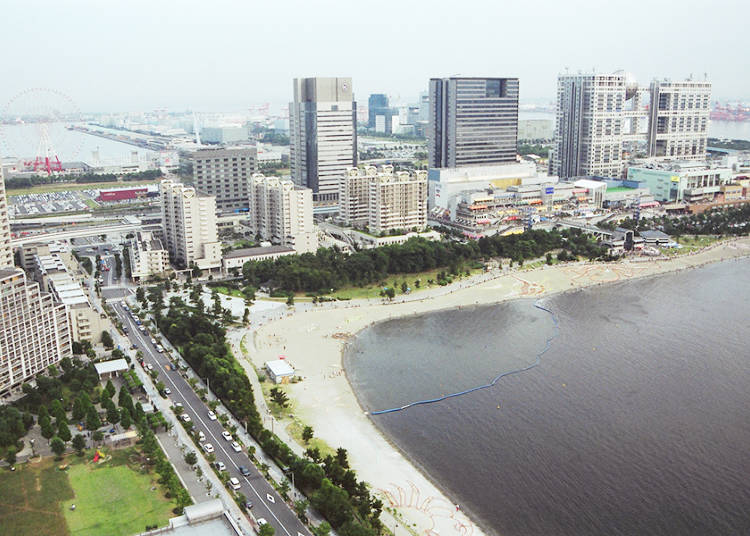 Odaiba Seaside Park - Gather Shells, Clams, and Crabs after Shopping and Sightseeing!