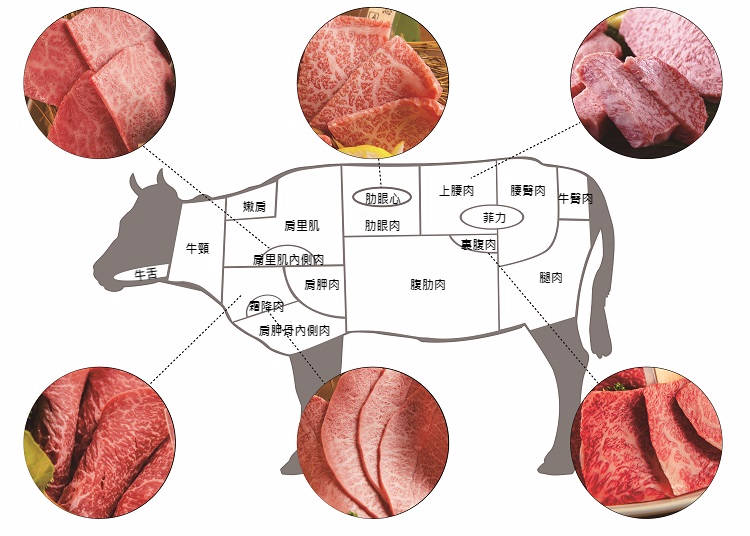 日本人人氣的和牛食用部位