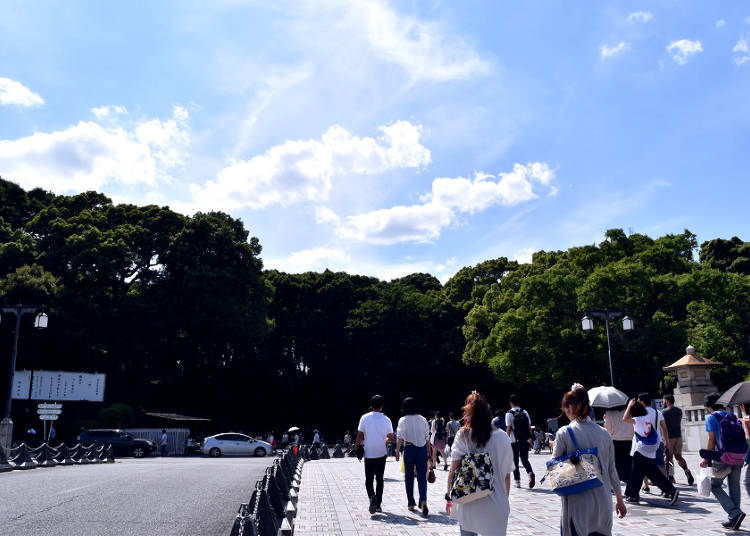 位在時尚聖地原宿的綠園-明治神宮