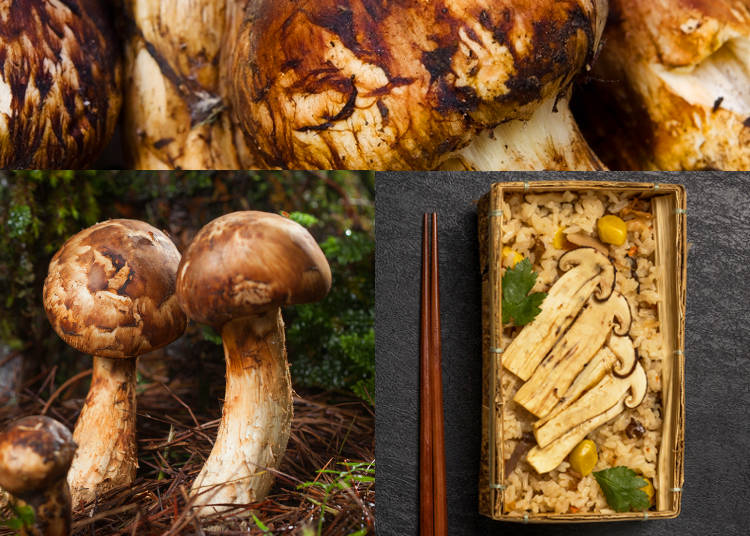 5) Matsutake
