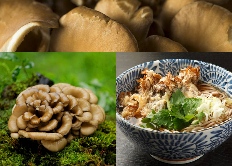 2) Maitake