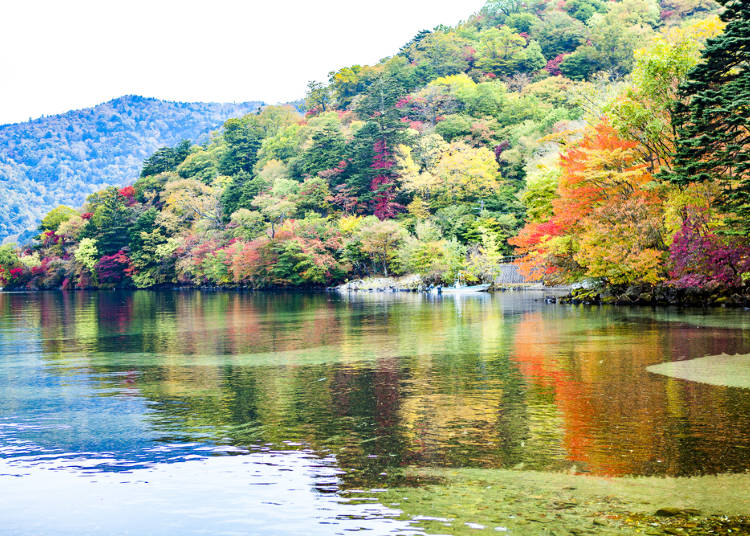 周遊券範圍景點介紹:枥木-日光東照宮、中禪寺湖、華嚴瀑布