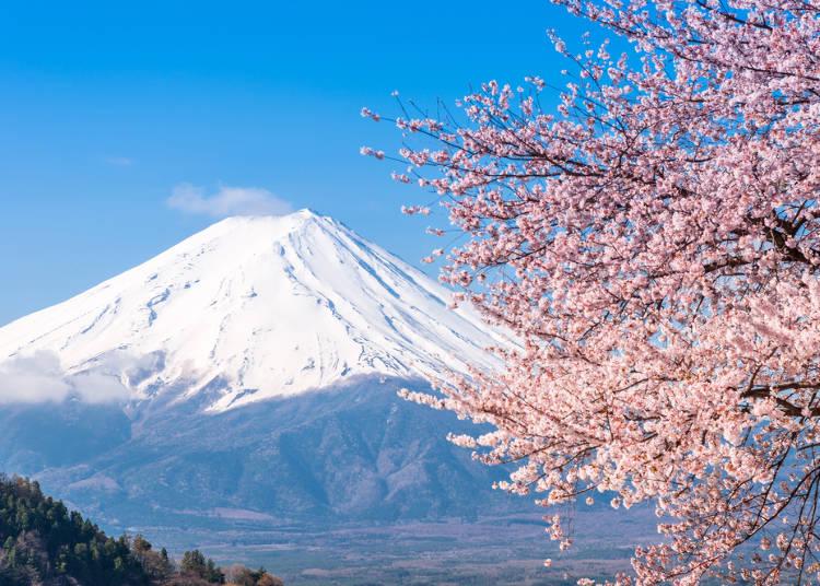 周遊券範圍景點介紹:山梨/靜岡-富士山、河口湖