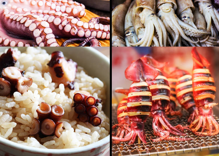 5) Ika & Tako – Squid and Octopus
