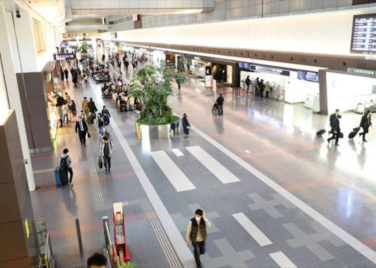 하네다 공항 국내선 국제선 터미널은?