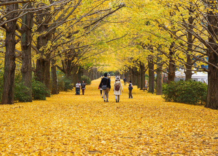 日本东京9月 10月 11月秋季天气 服装及必备小物 Live Japan 日本的