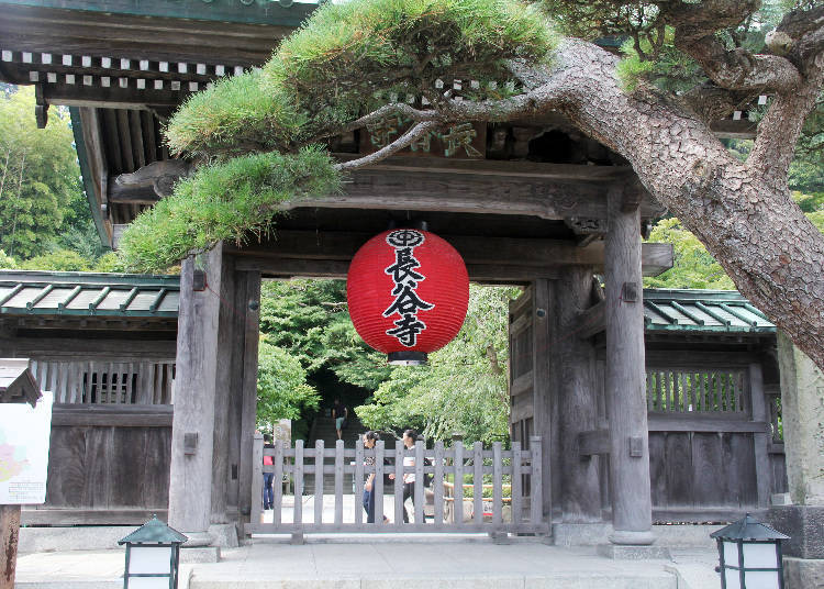 SPOT1)四季の花や眺望が魅力の名刹「長谷寺」