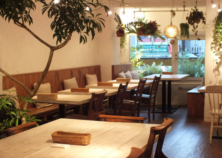 完全蔬食主義「Vegan」,滿足你的味蕾「AIN SOPH.journey新宿店」