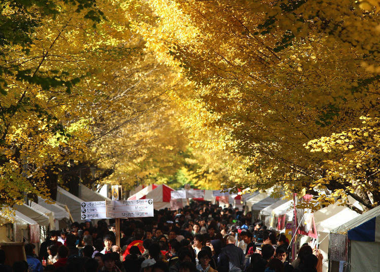 日本最高学府举办的学术性大学祭/东京大学 駒场校区
