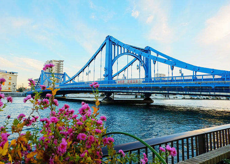 【東京清澄白河】不只有藍瓶咖啡!探索懷舊與摩登並存的老街必訪景點6選